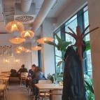 Babutzi Budapest - Egyéb