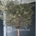 Babutzi Budapest - Egyéb