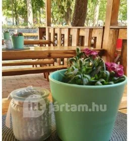 Badacsonyi Szürkebarát Borozó