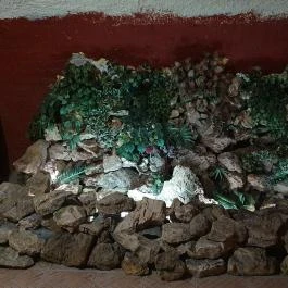 Bajnok Étterem Szolnok - Egyéb