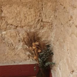 Balagan, Budapest - Egyéb