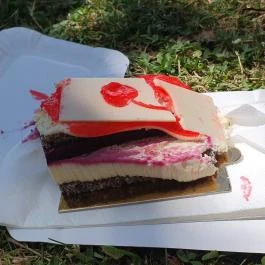 Balaton Klub Balatonföldvár - Egyéb