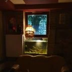 Bálint Galéria Kávézó Budapest - Egyéb