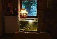 Bálint Galéria Kávézó Budapest