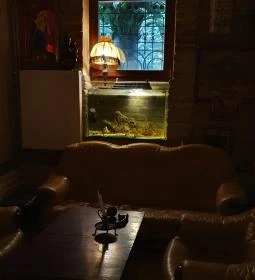 Bálint Galéria Kávézó