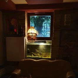 Bálint Galéria Kávézó, Budapest - Egyéb