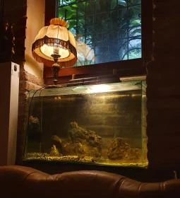 Bálint Galéria Kávézó