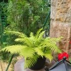 Bálint Galéria Kávézó Budapest - Egyéb