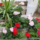 Bálint Galéria Kávézó Budapest - Egyéb