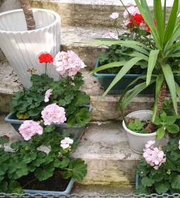 Bálint Galéria Kávézó