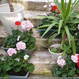 Bálint Galéria Kávézó, Budapest - Egyéb