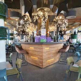 Bárka, Szeged - Egyéb