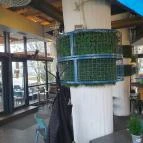 Bárka Szeged - Egyéb