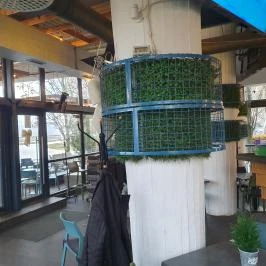 Bárka, Szeged - Egyéb