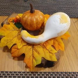 Bárka Étterem, Csongrád - Egyéb