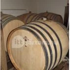 Barta Pince Mád - Belső