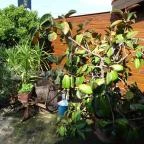 Bástya Panzió és Étterem Mezőpeterd - Külső kép