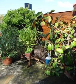 Bástya Panzió és Étterem 