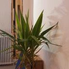 BAZ Beer Bar Budapest - Belső