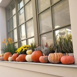 Bazsalikomos kert, Kecskemét - Egyéb