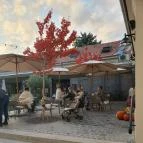 Bazsalikomos kert Kecskemét - Egyéb