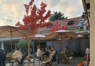 Bazsalikomos kert Kecskemét