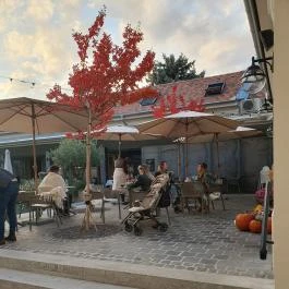 Bazsalikomos kert, Kecskemét - Egyéb