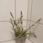 Béchamel Budapest - Egyéb