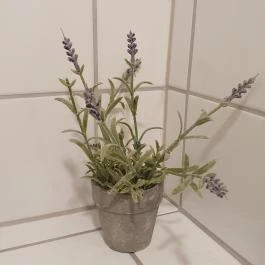 Béchamel, Budapest - Egyéb