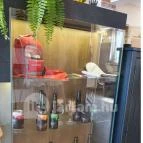 Beer Corner - Viharsarki Sernevelde Gyula - Egyéb