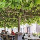 Beer & Wurst Debrecen - Egyéb