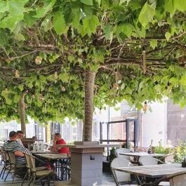 Beer & Wurst, Debrecen - Egyéb