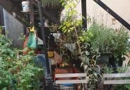 Beeráló - Craft Beer Pub Székesfehérvár