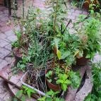 Beeráló - Craft Beer Pub Székesfehérvár - Egyéb