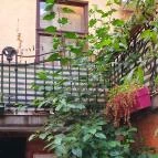 Beeráló - Craft Beer Pub Székesfehérvár - Egyéb