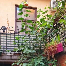 Beeráló - Craft Beer Pub Székesfehérvár - Egyéb