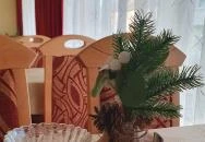 Belvárosi Panzió Debrecen