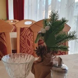 Belvárosi Panzió , Debrecen - Egyéb