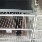 Betty Eszpresszó Dorog - Egyéb