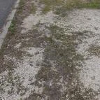 Betty Eszpresszó Dorog - Egyéb