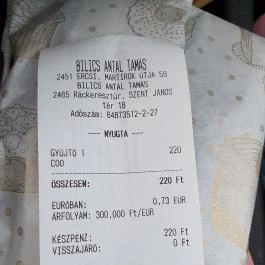 Bilics Antal Fagyizója, Ráckeresztúr - Egyéb