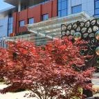 Bistorant Étterem Kecskemét - Külső kép