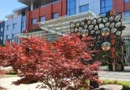 Bistorant Étterem Kecskemét