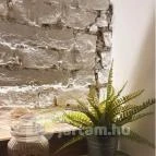 Black Sheep Kávézó & Konyha Debrecen - Egyéb