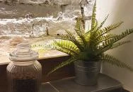 Black Sheep Kávézó & Konyha Debrecen