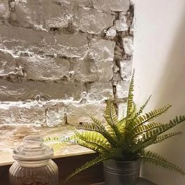 Black Sheep Kávézó & Konyha , Debrecen - Egyéb