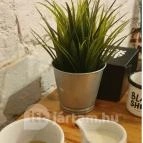 Black Sheep Kávézó & Konyha Debrecen - Egyéb