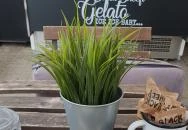 Black Sheep Retró Fagyizó & Kávézó Debrecen