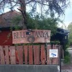 Blues Tanya Érd - Egyéb