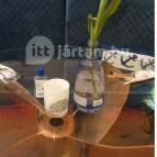 Boathouse Budapest - Egyéb